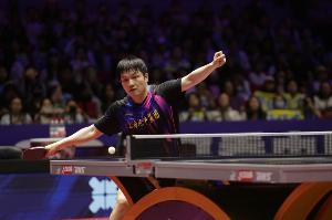 无敌！樊振东收获乒超第二阶段5连胜，本赛季乒超12战全胜